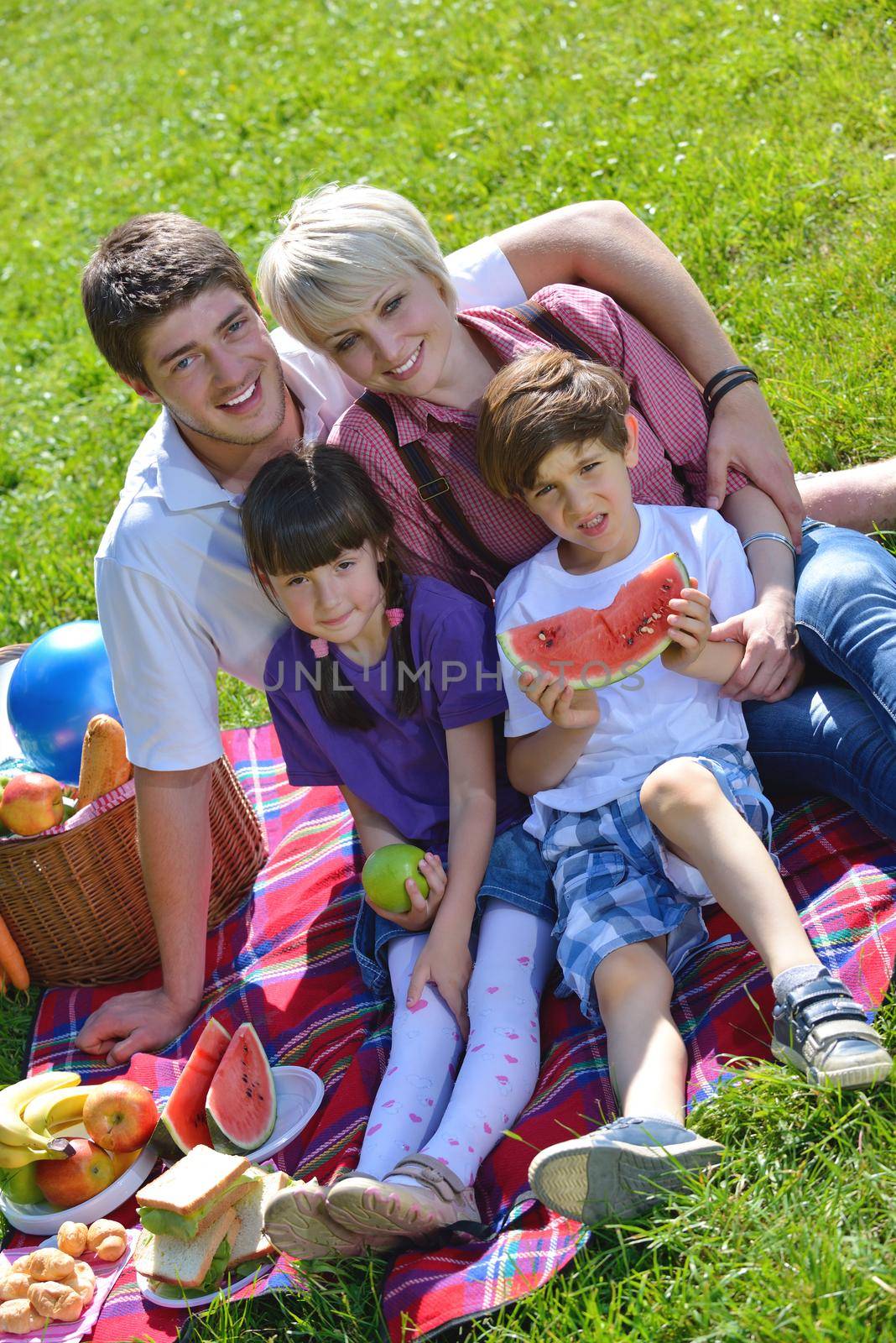 Happy young  family playing together with kids and eat healthy food  in a picnic outdoors