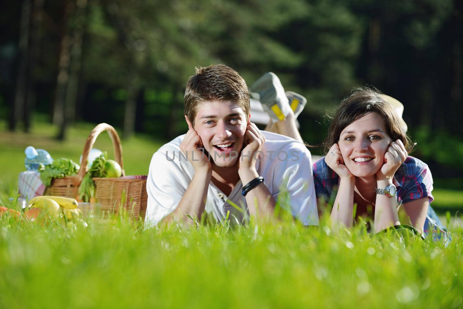 happy young couple having a picnic outdoor by dotshock