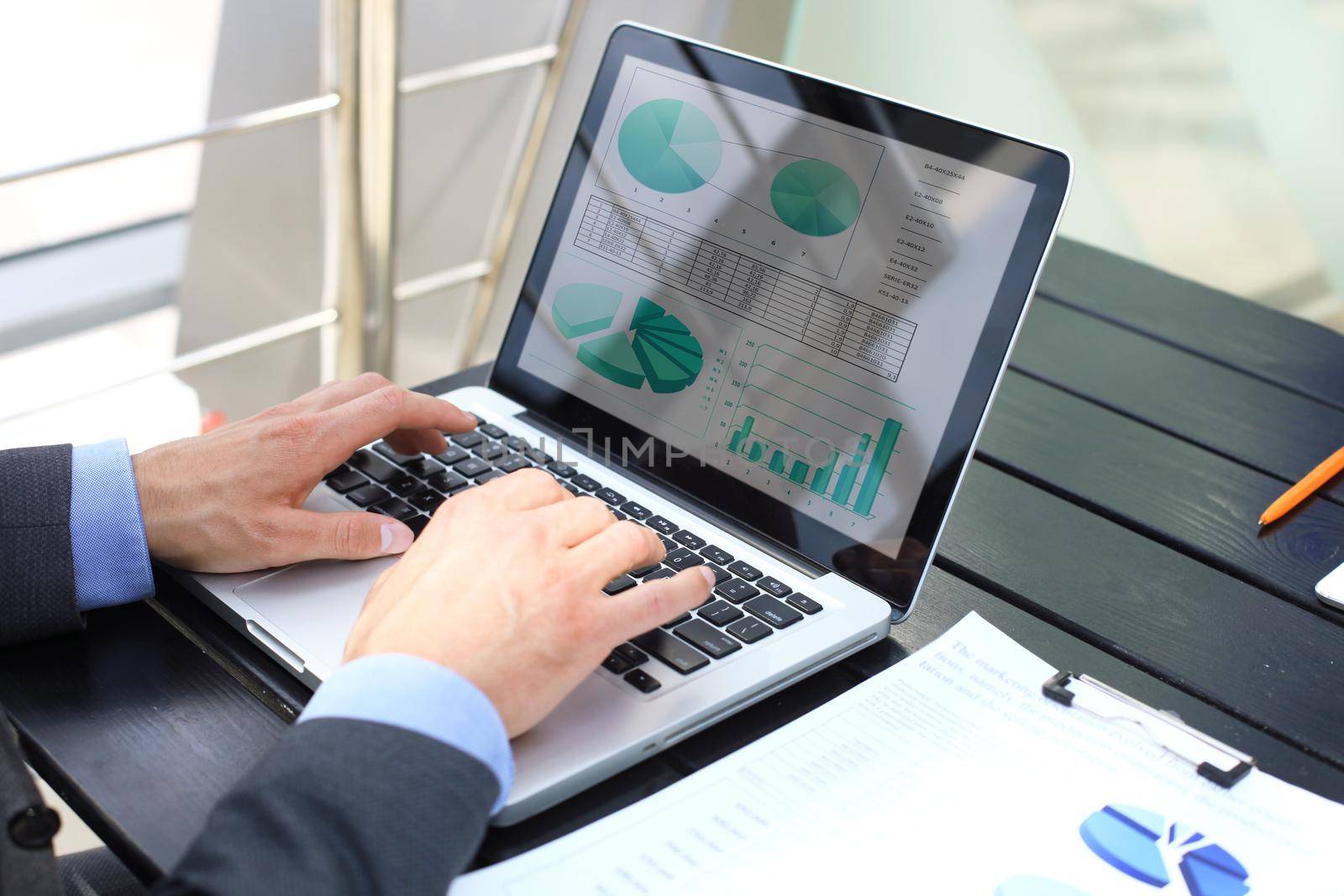Business person analyzing financial statistics displayed on the laptop screen.