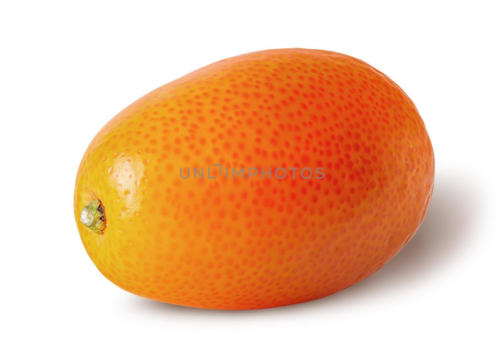 Single ripe kumquat isolated on a white background