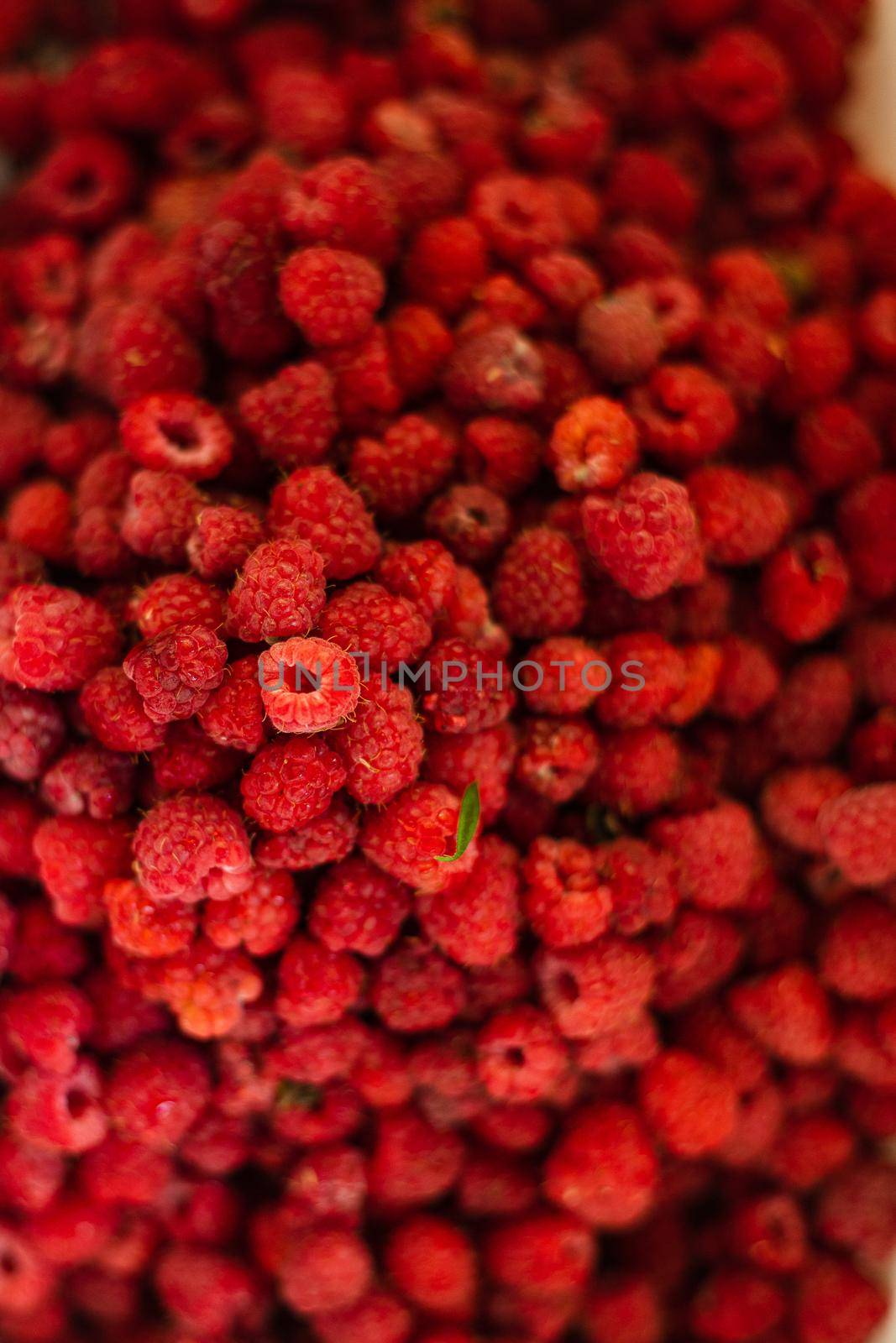 Background raspberry wallpaper, place for text