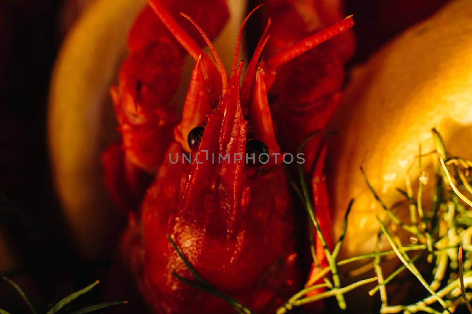 Macro stock photo of a boiled crayfish or clawfish in artificial light. Prepared lobster in close-up.