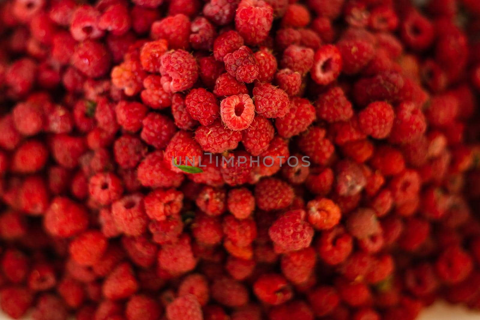 Top view of heap of red ripe raspberries after harvesting. Pile of fresh and delicious raspberries.