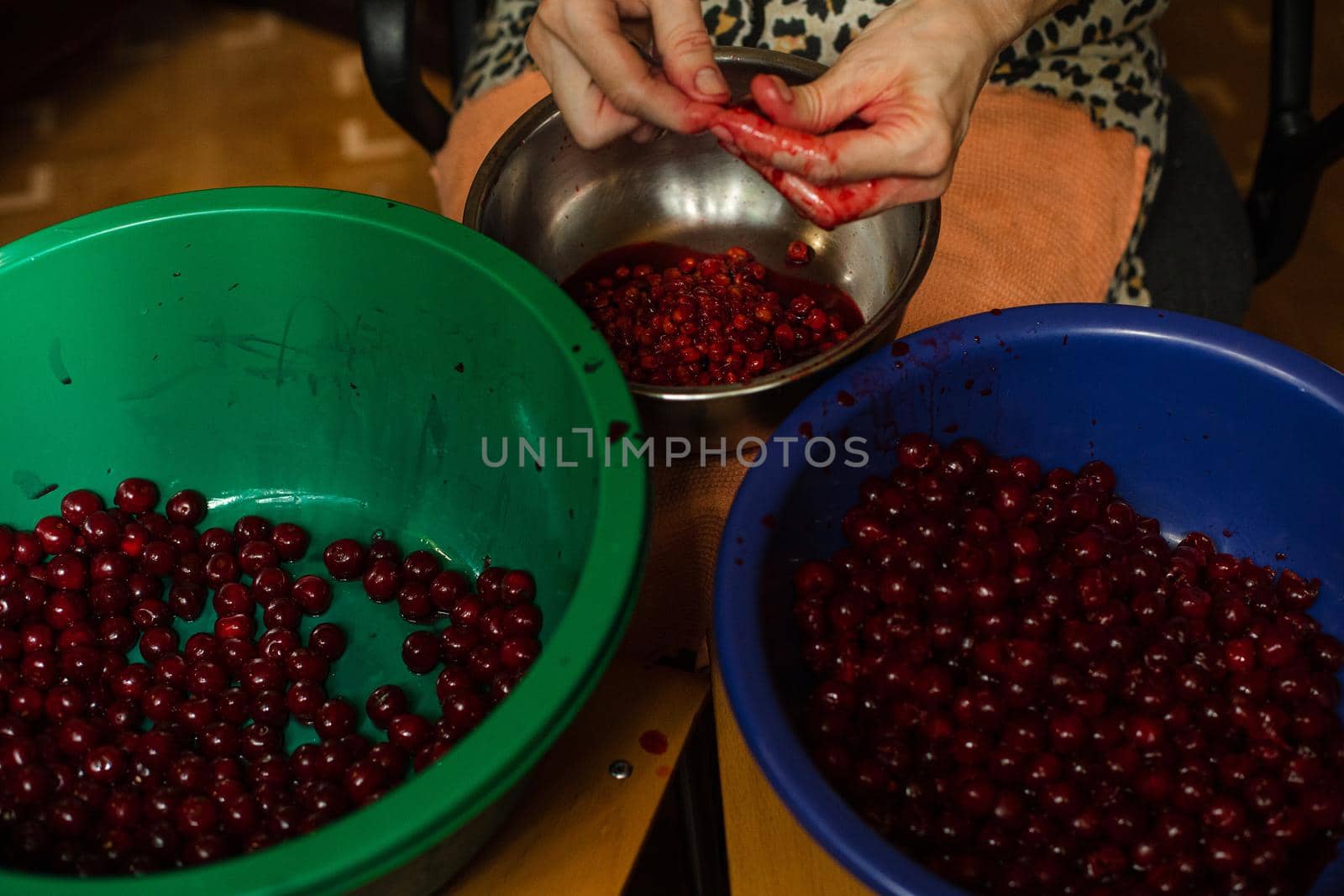 Woman cleans cherries from seeds before cooking jam or juice