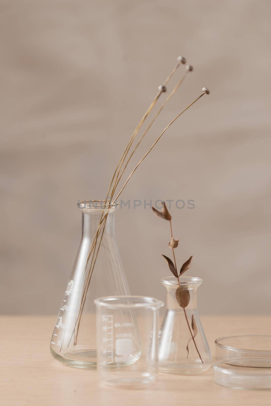 Glass flask with flowers on table in laboratory by makidotvn