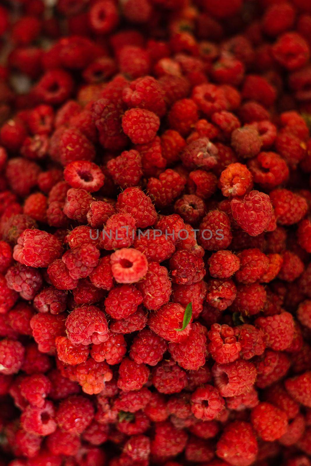 Lots of bright raspberries. Background, picture for postcard by StudioLucky