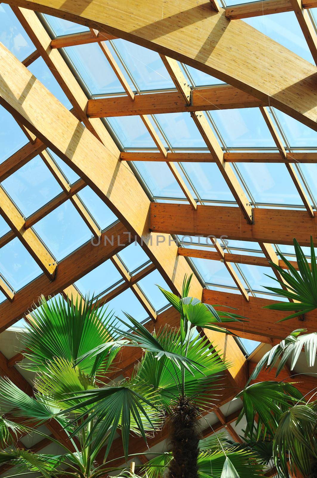 palm and wooden roof construction by dotshock