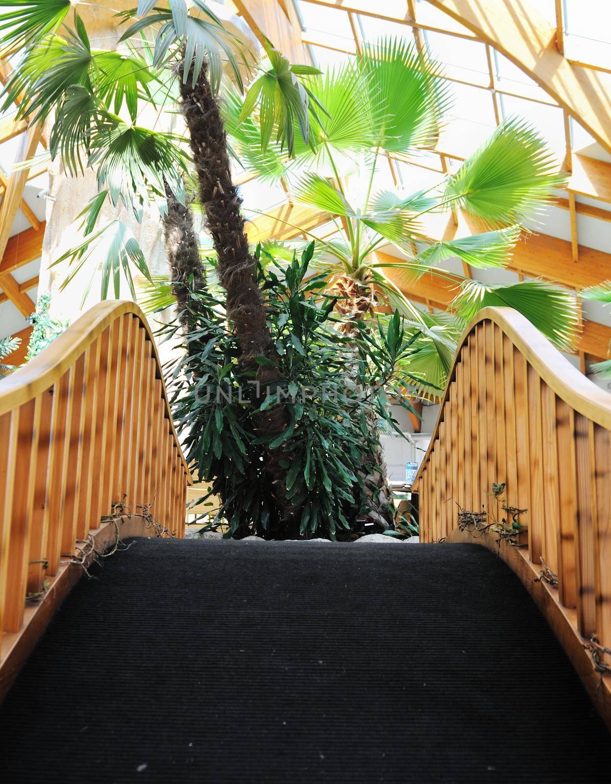 beautiful caffe restaurant with palm tree and little waterfall and bridge