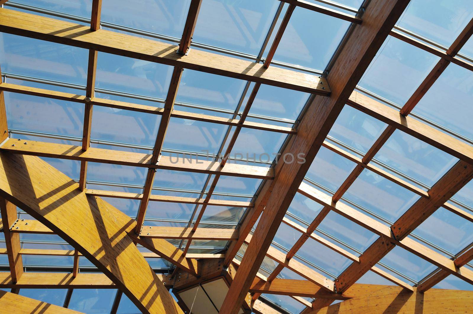 modern home roof wood roof construction with many windows blue sky and green palm leafs