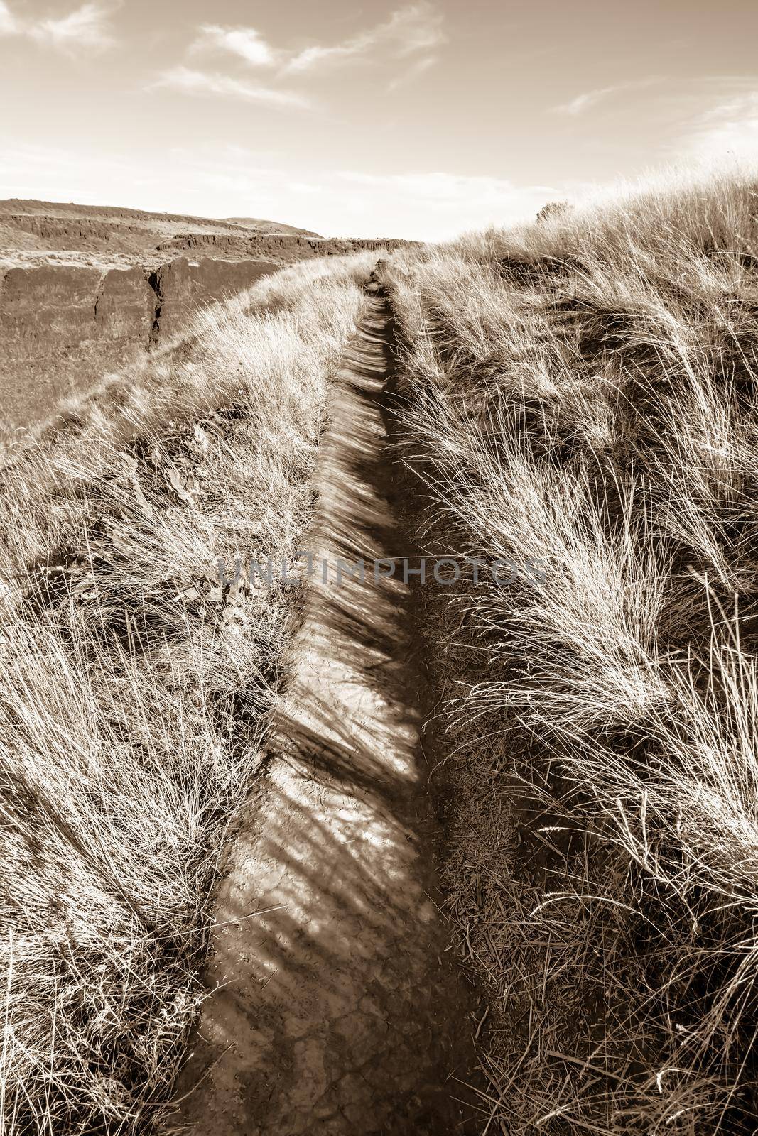 Grass Field in Fall, Palouse Falls State Park, WA by digidreamgrafix