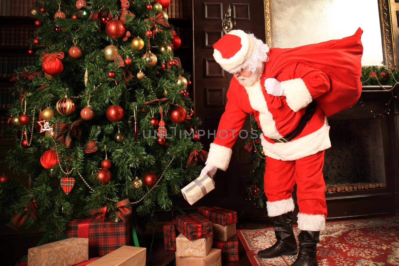 Santa Claus bring the sack with gifts for Christmas.