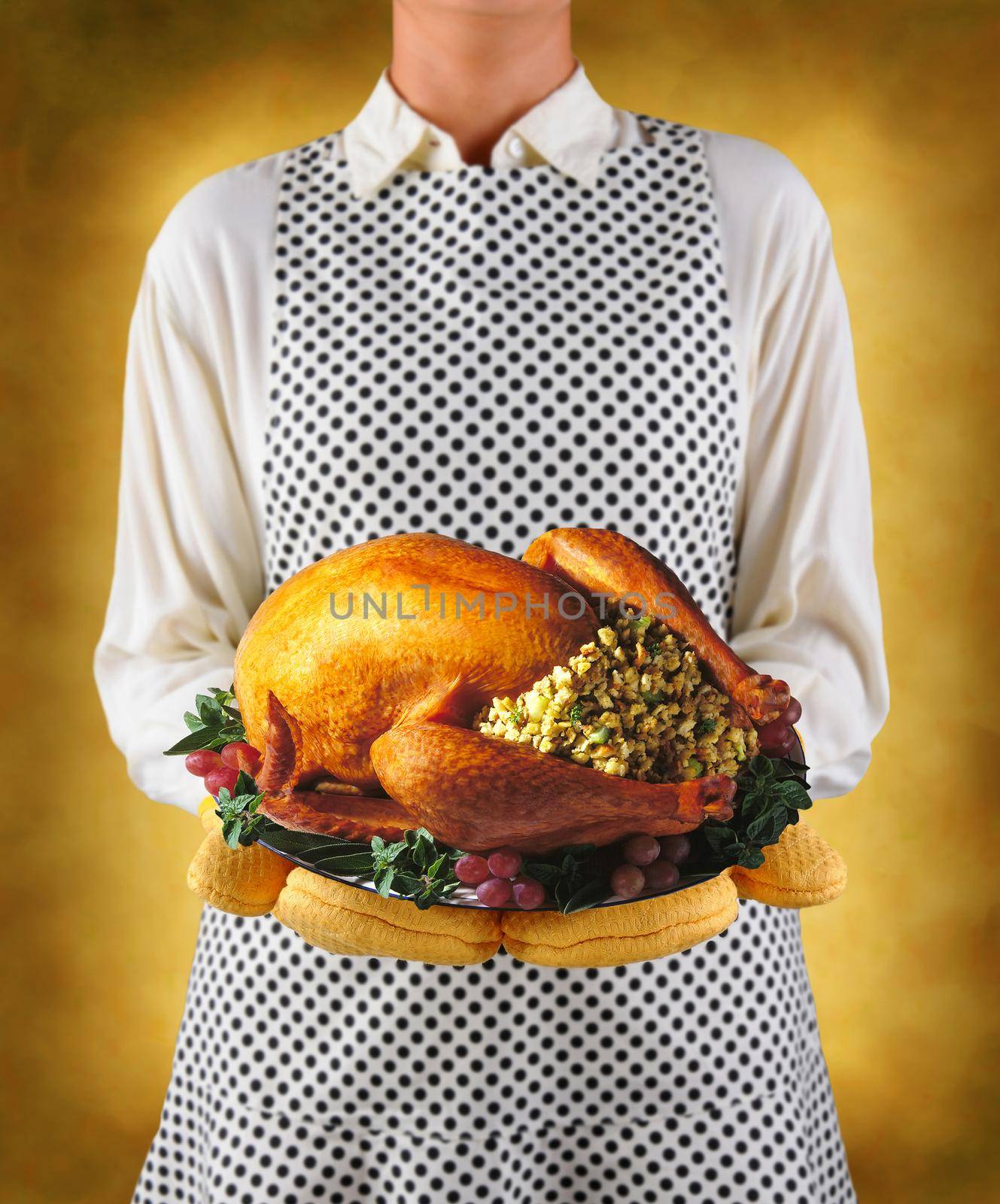 Closeup of a homemaker in an apron and oven mitts holding a platter with a roasted turkey.; Woman is unrecognizable. Shallow depth on a warm mottled background.