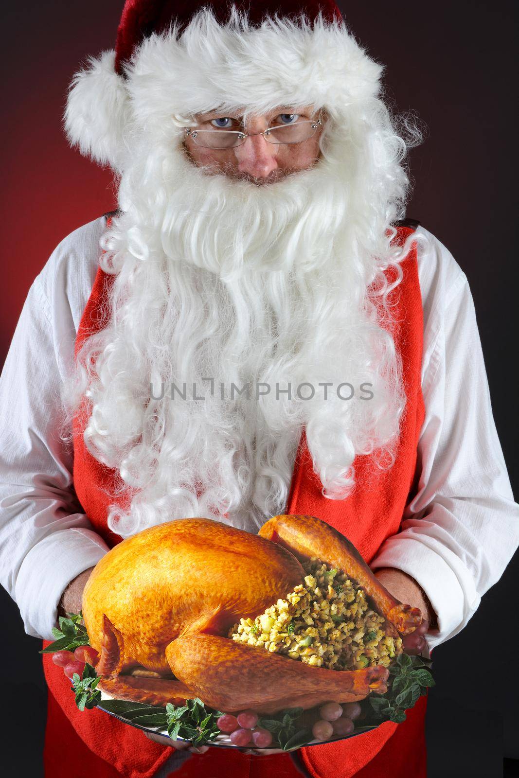 Santa Claus With Holiday Turkey by sCukrov