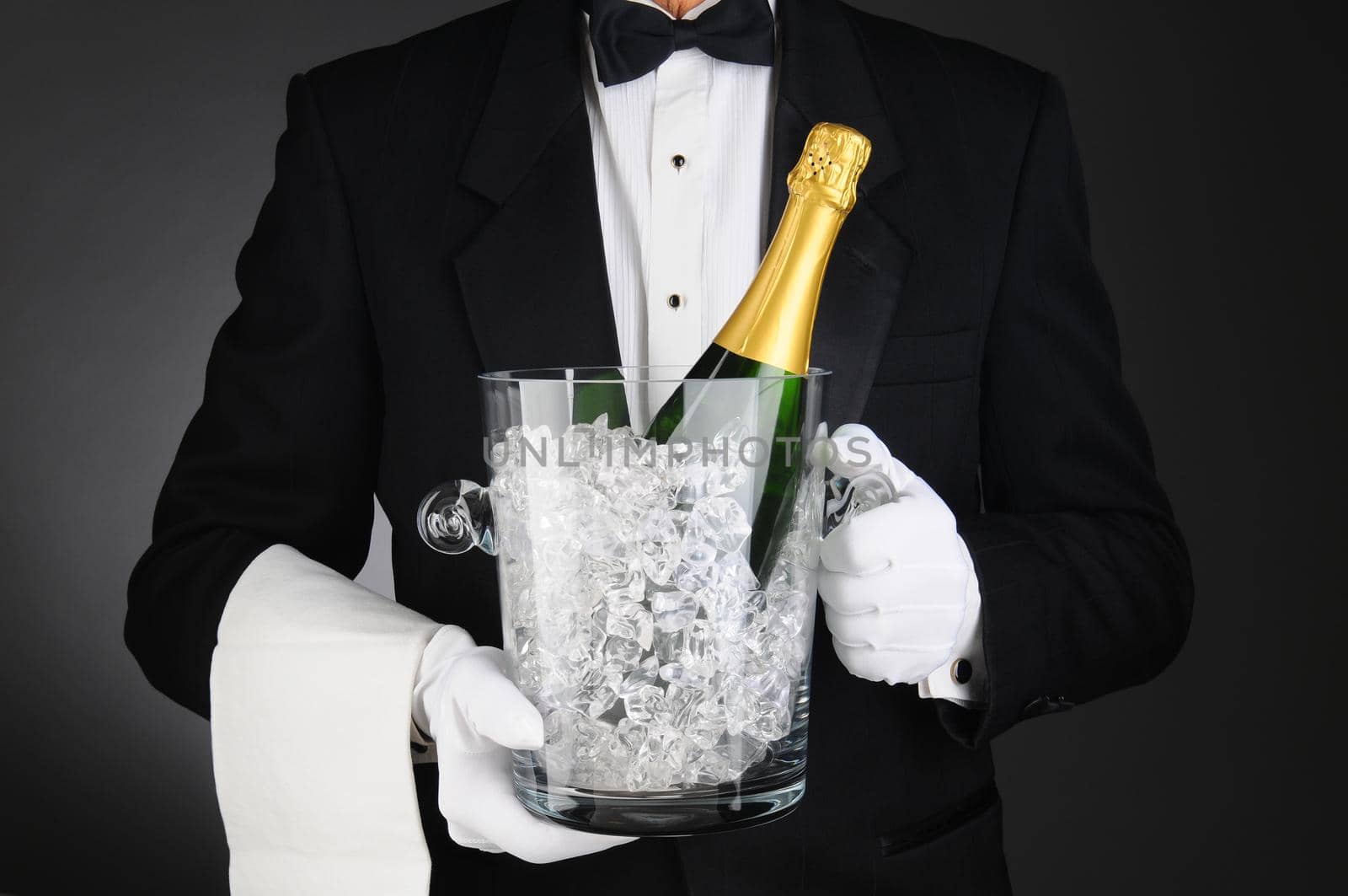 Closeup of a Sommelier holding a Champagne Ice Bucket in front of his torso. Horizontal format on a light to dark gray background.