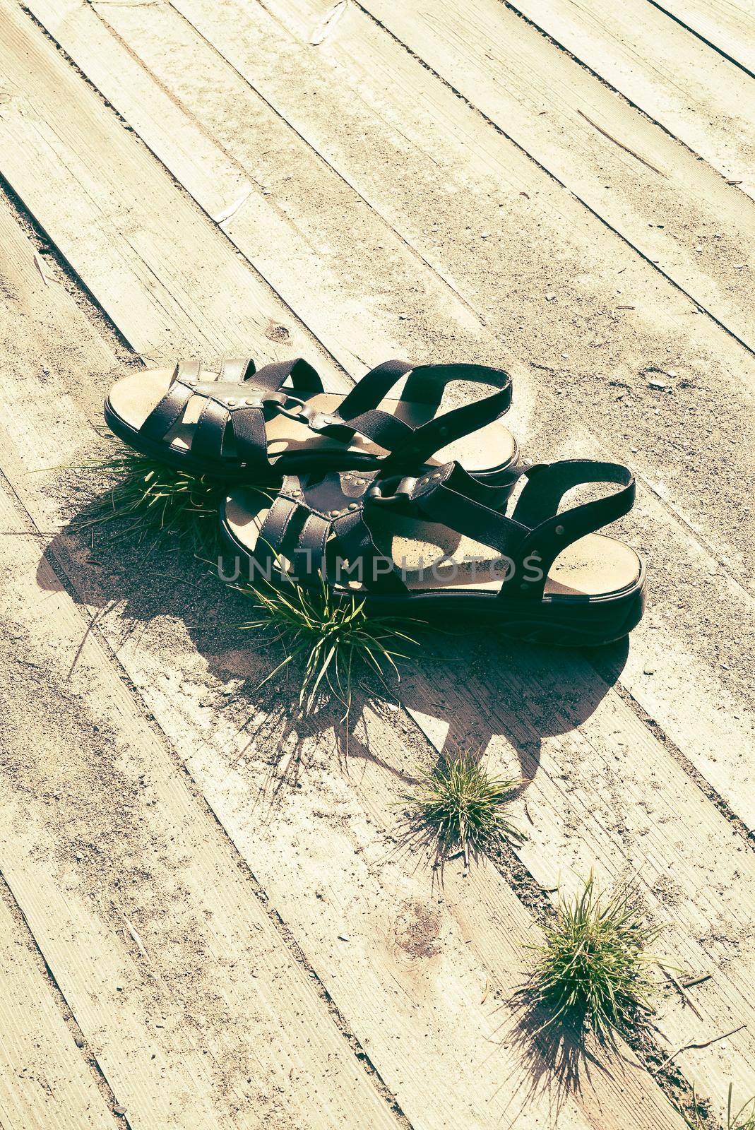 Woman summer sandals in  warm sunshine on wooden planks with sand and grass, with free empty space for copy - Concept of relaxing vacation, summertime travel and recreation.