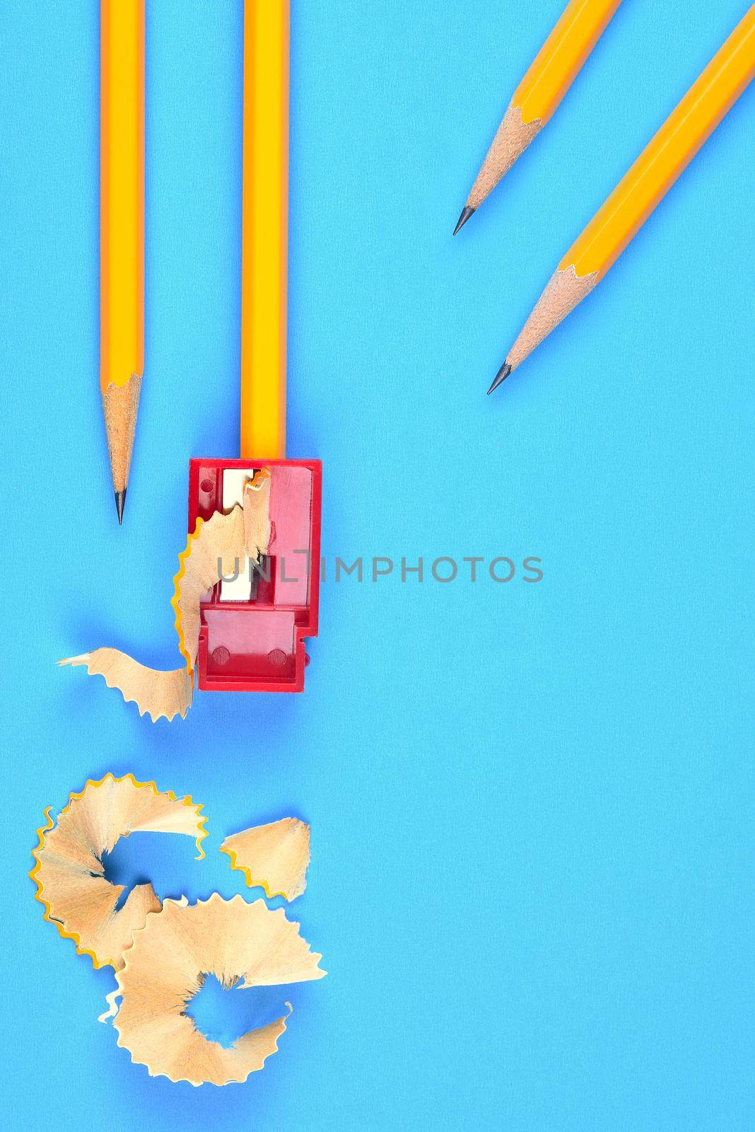 Back to School Concept: Four Yellow Pencils with a sharpener and shavings, on a blue background. Two pencils coming in from the to right, Copy space ont he bott right third.