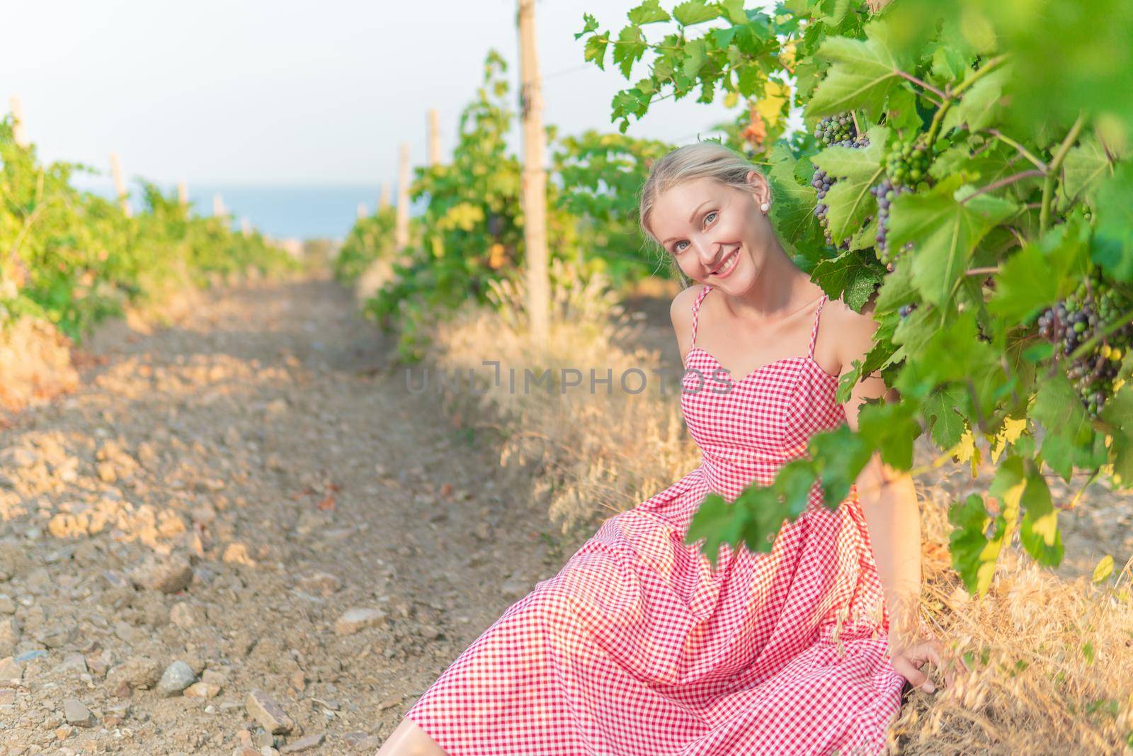 Girl in vineyard and mountains sky earth wine nature countryside, agriculture red industry sky, barrel scenic. grapes leaf, caucasian by 89167702191