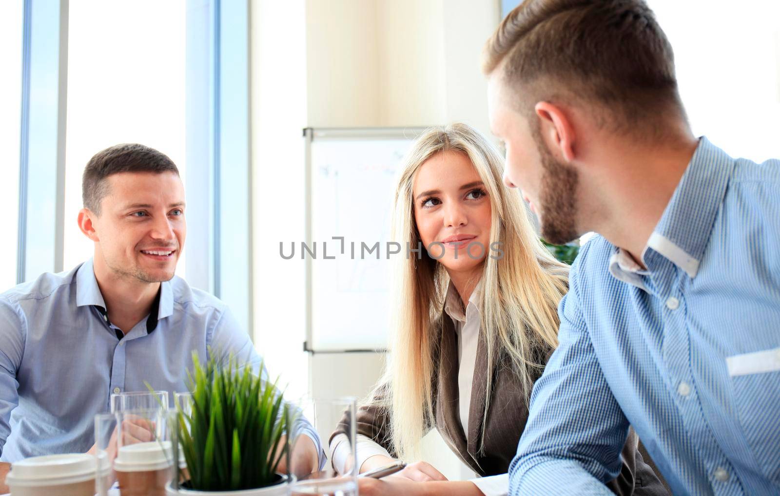 Business team discussing together business plans in office