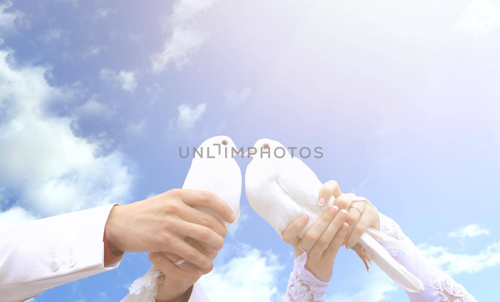 Pigeons on the wedding in the hands of young people on the background of the sunny sky