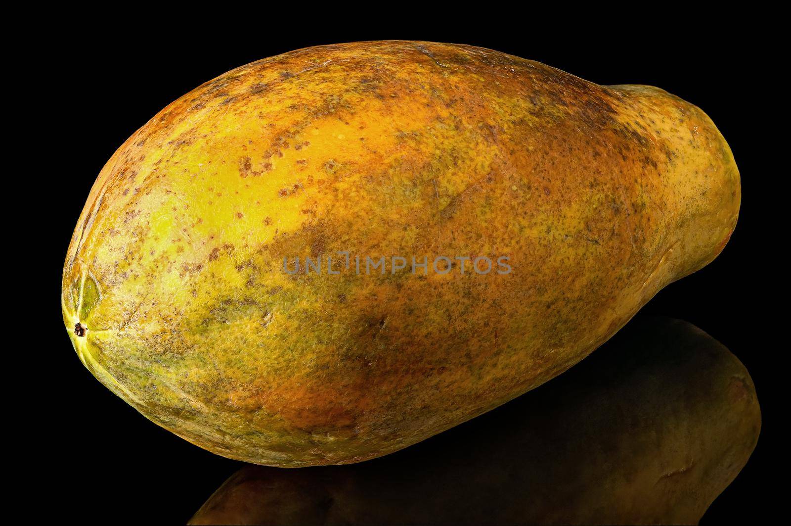 Papaya whole with reflection isolated on black by Cipariss