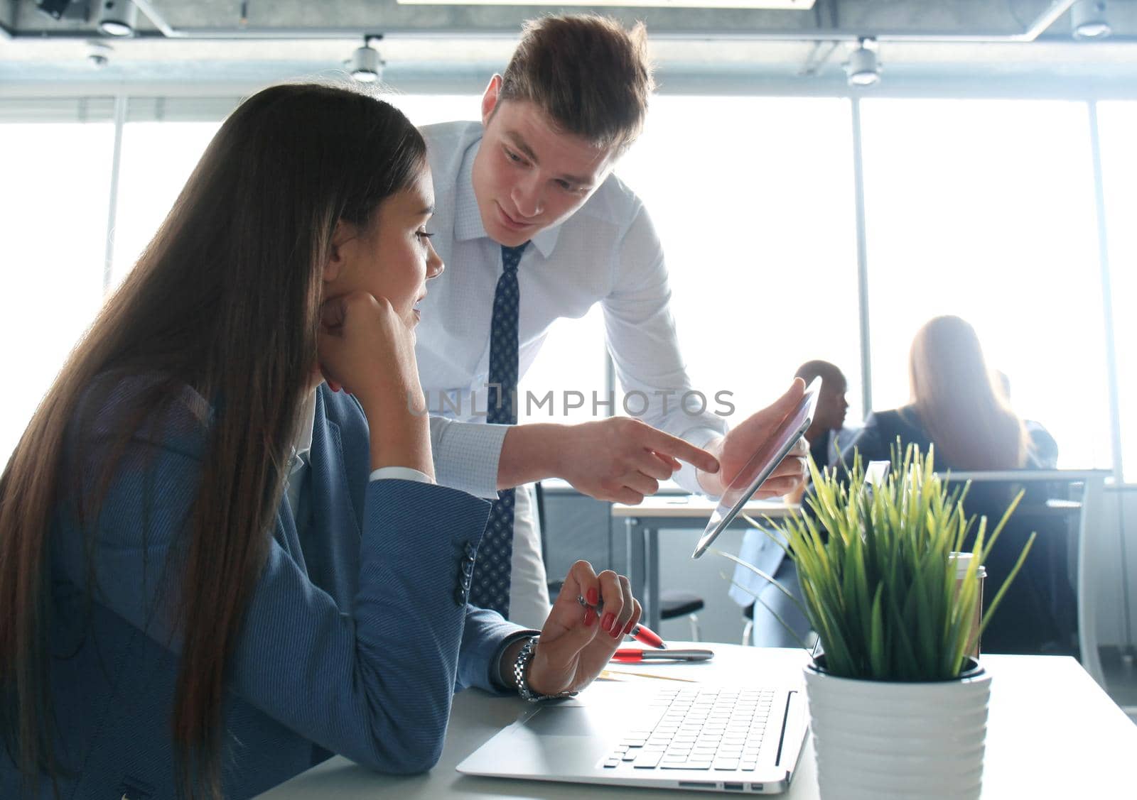 Image of two young business partners discussing plans or ideas at meeting