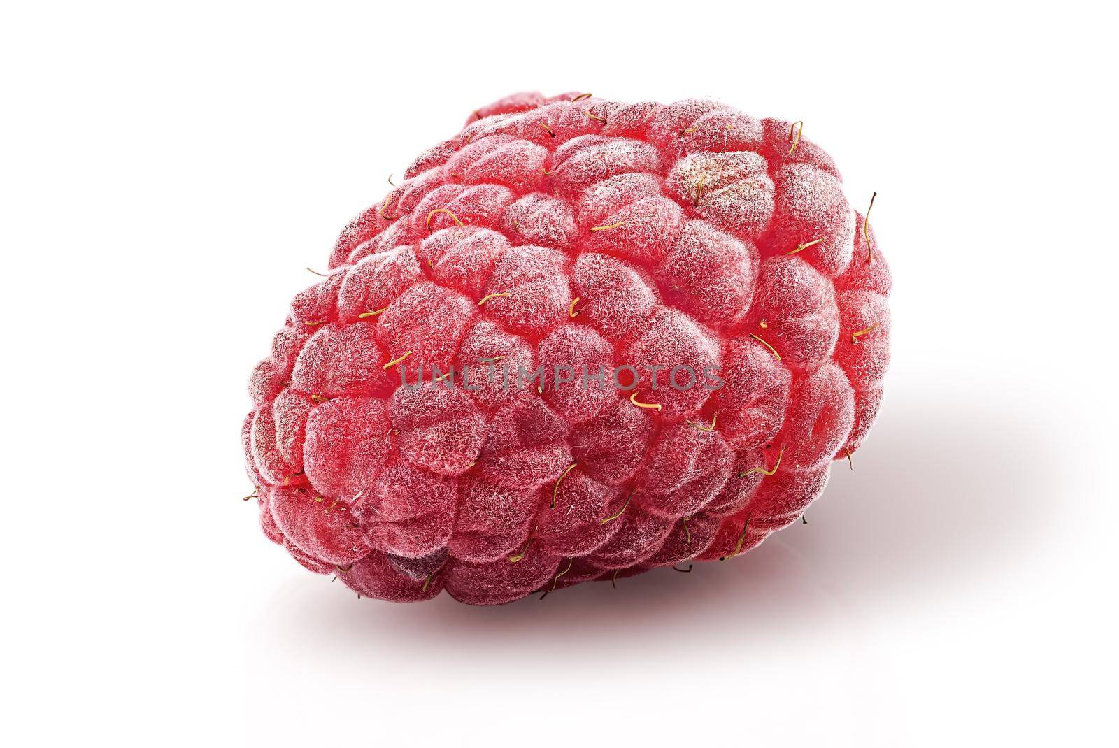 Single raspberry berry rotated isolated on white background