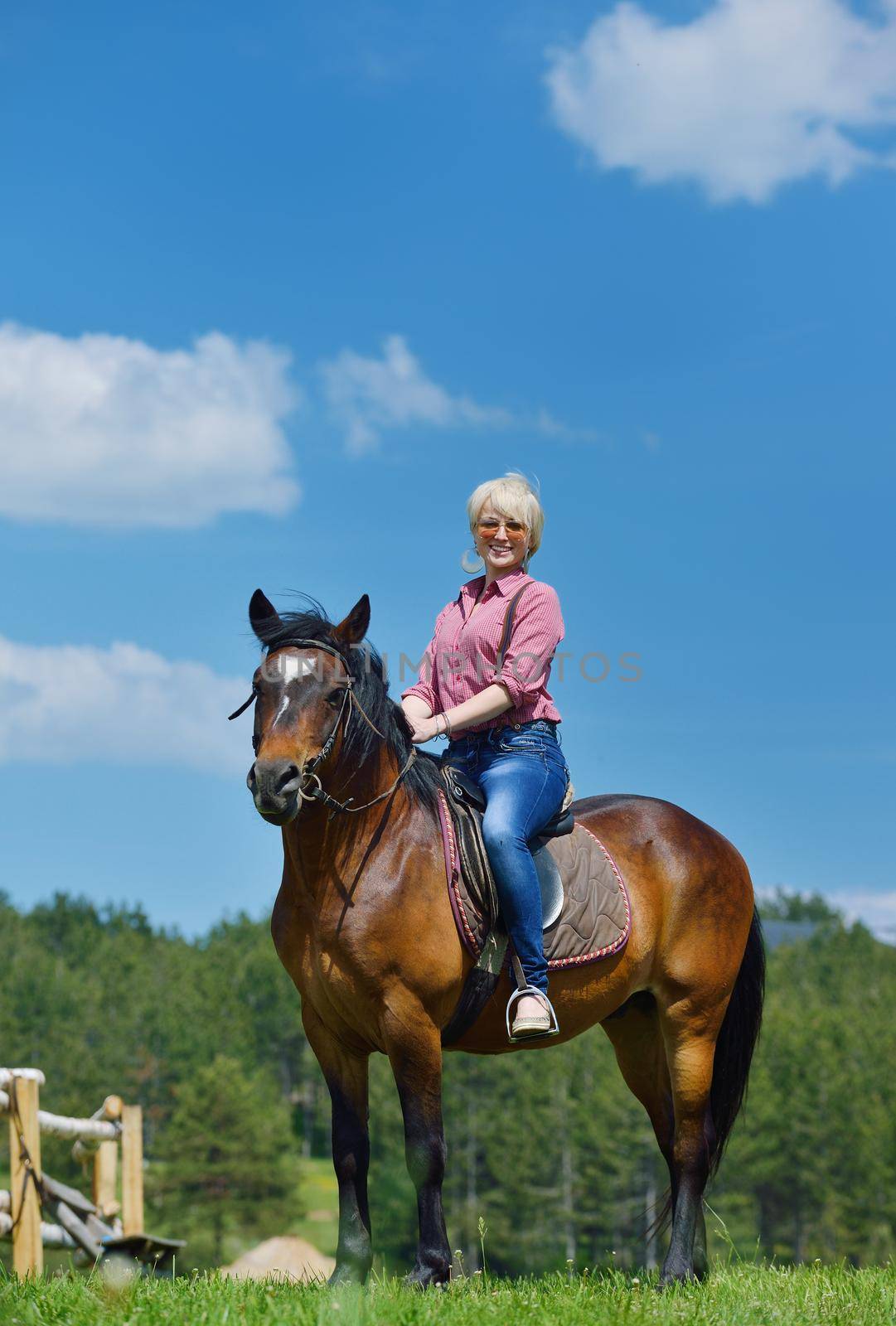 happy woman in sunglasses sitting on horse farm animal outdoors with blue sky in background