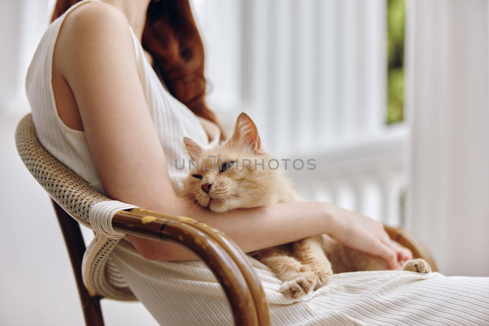 woman hostess with her pet on the terrace outdoor recreation animals by SHOTPRIME