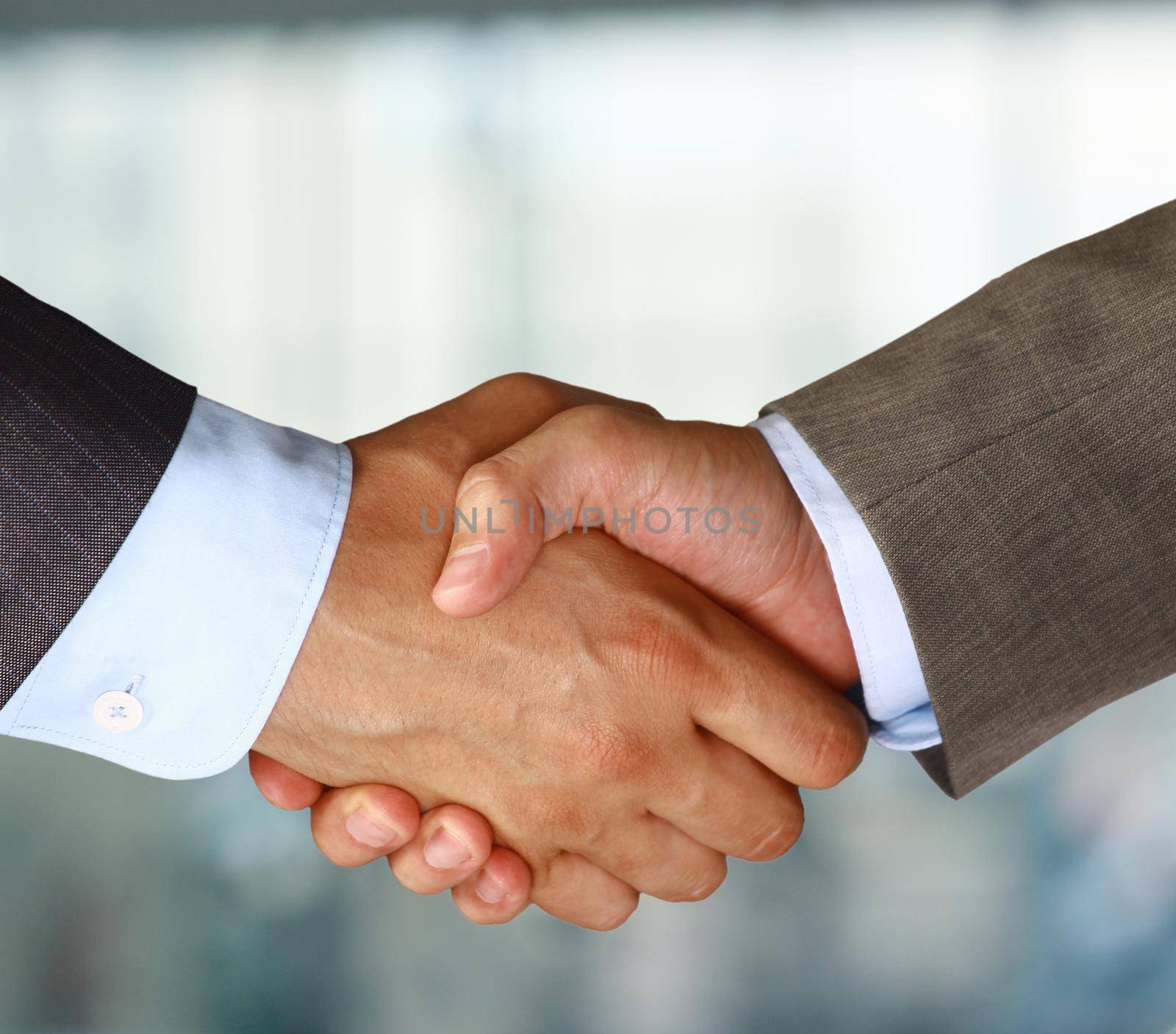 Closeup of a business hand shake between two colleagues by tsyhun