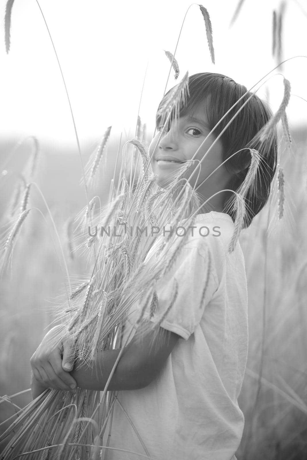 Kid at wheat field hugging harvest grain