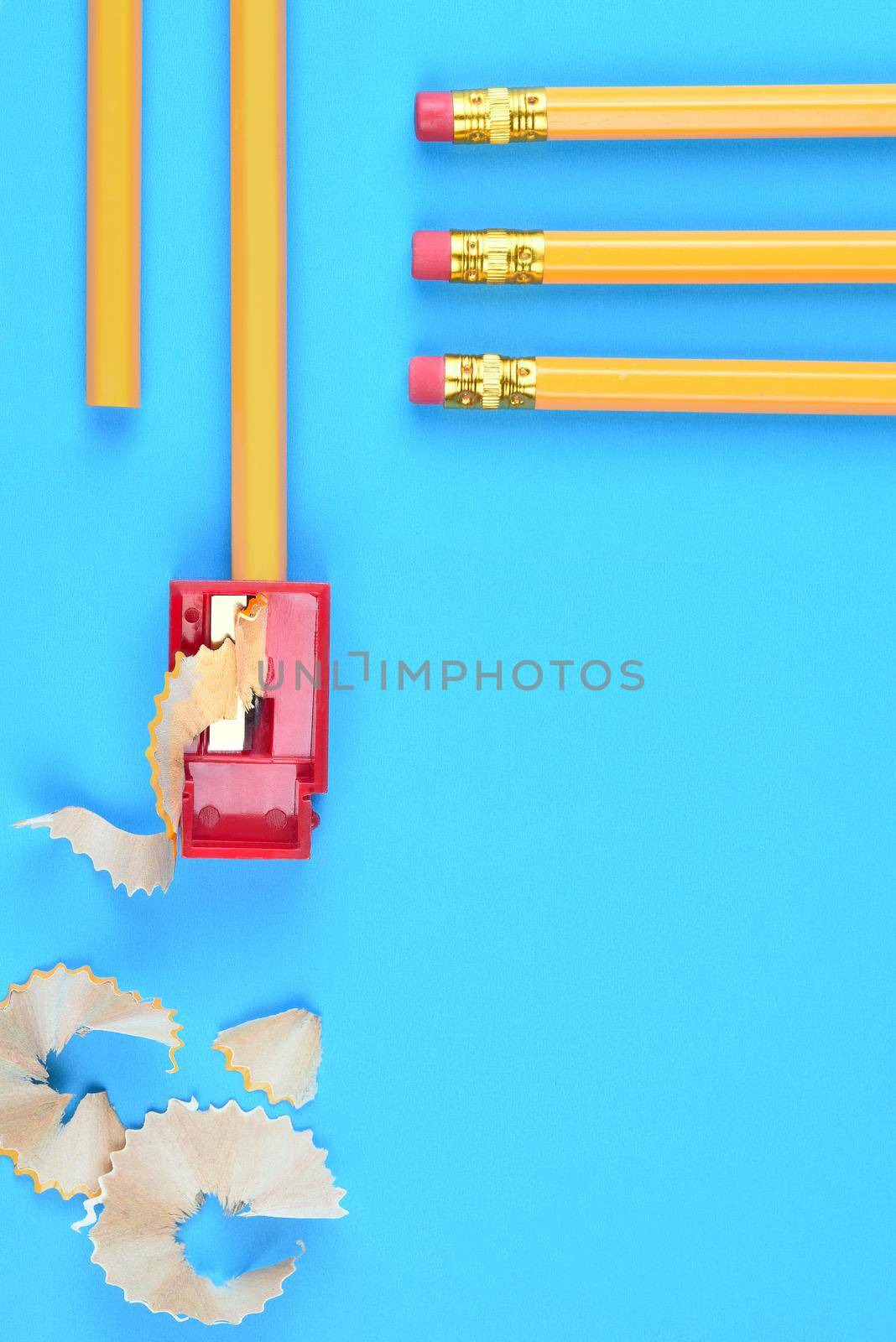 Back to School Concept - Yellow Pencils by sCukrov