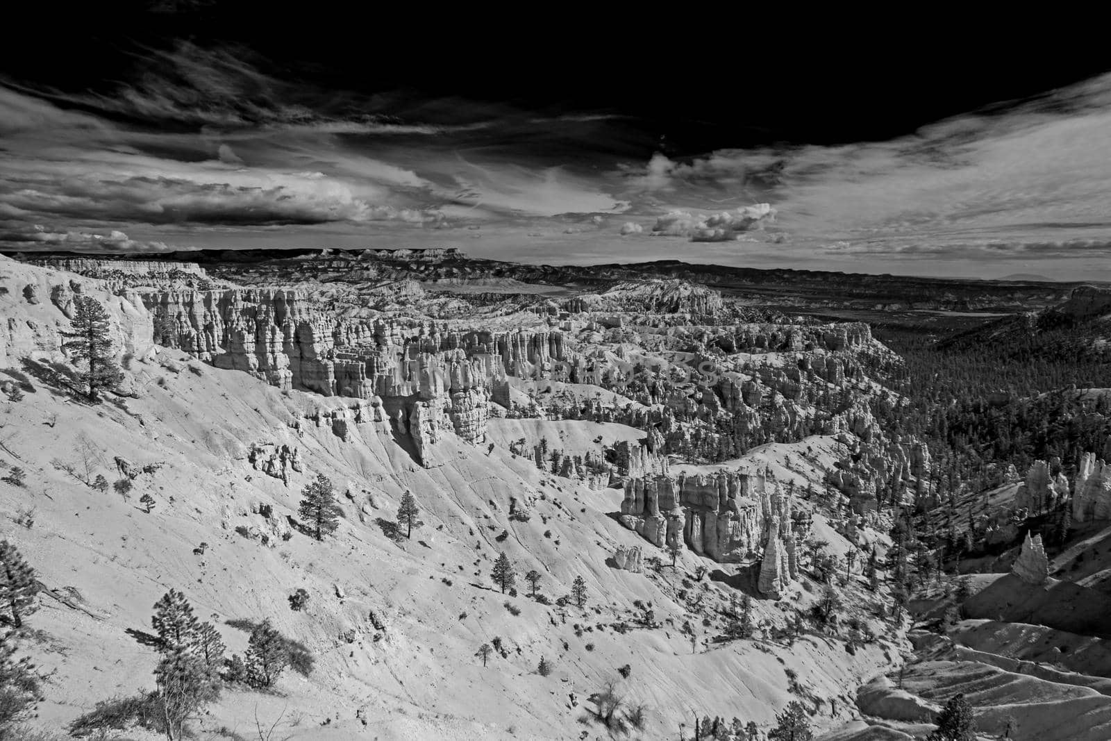 Bryce Canyon landscape 2496 BW by kobus_peche