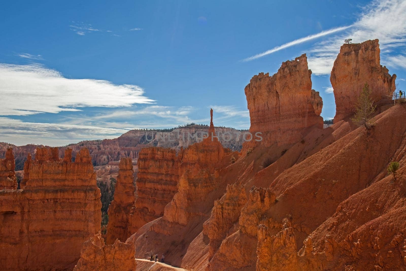 View of the Bryce Canyon landscape seen from the Navajo Loop