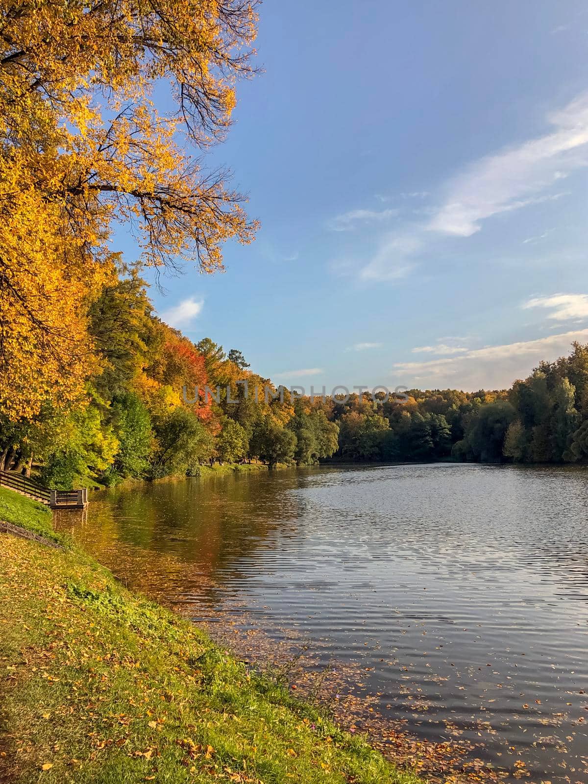 Colourful Nature: Autumn Beauty in the Park - stock photo. High quality photo