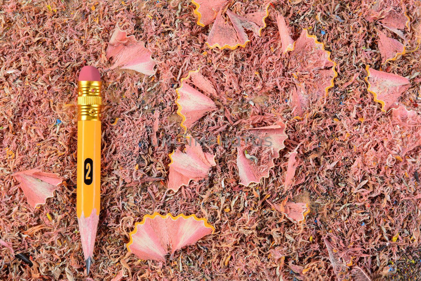 Overhead closeup of a sharpened pencil stub on a background of shavings. The well used #2 pencil is set ot the left side of the frame. 
