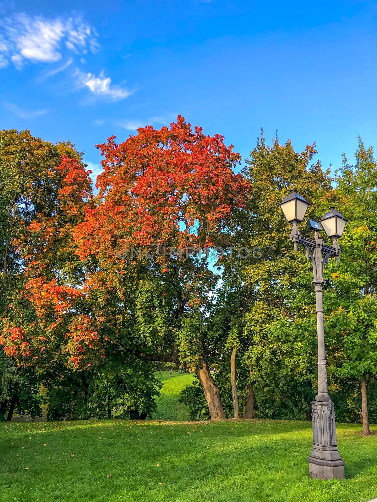 Colourful Nature: Autumn Beauty in the Park - stock photo. High quality photo