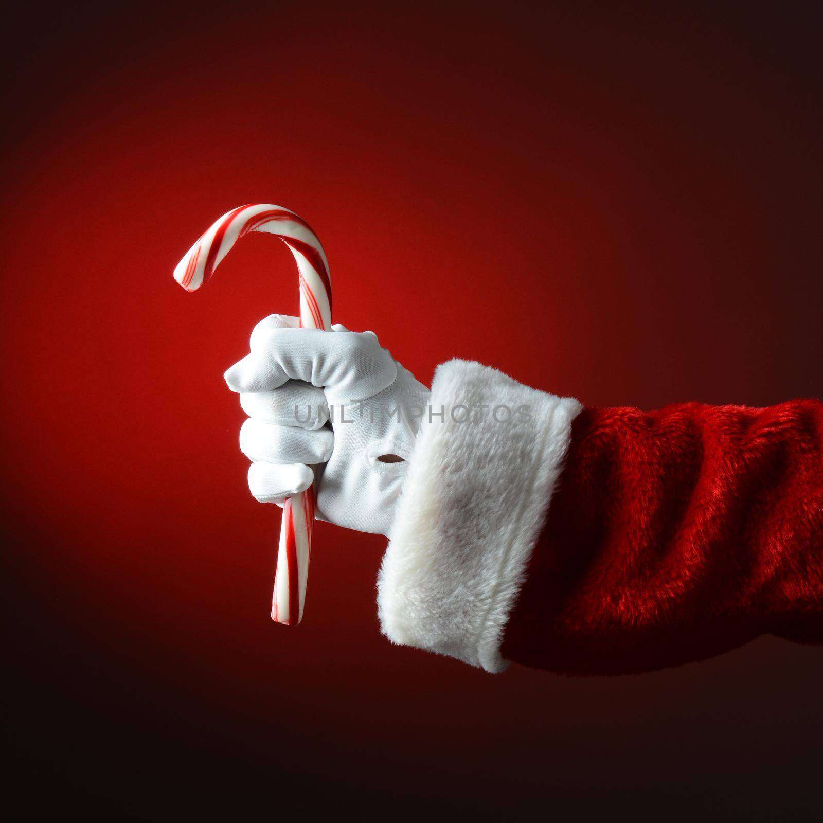 Santa Claus holding large candy cane over dark red background. Only hand and arm are visible. Square Format.