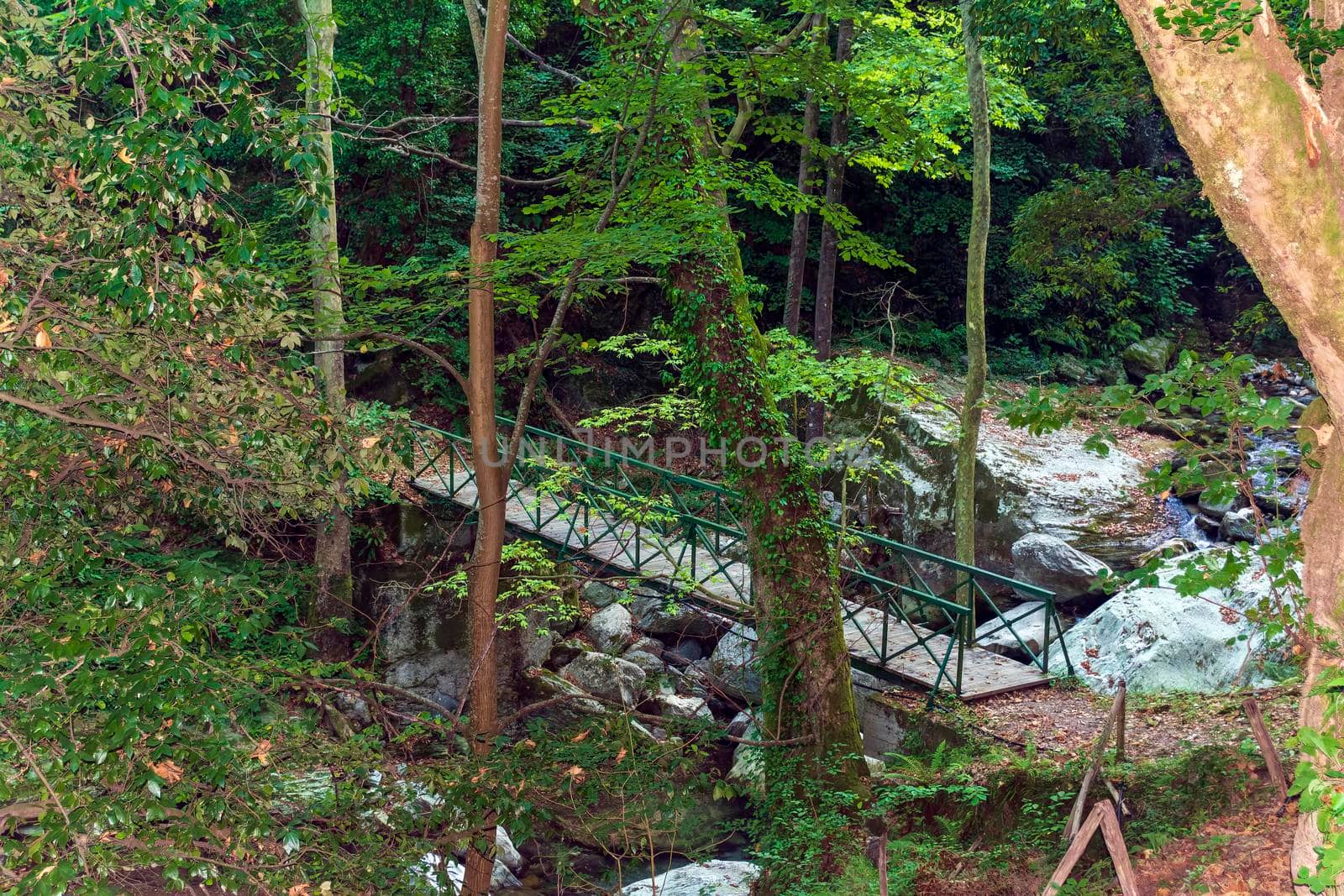 Wooden bridge in Pelion forest, Greece