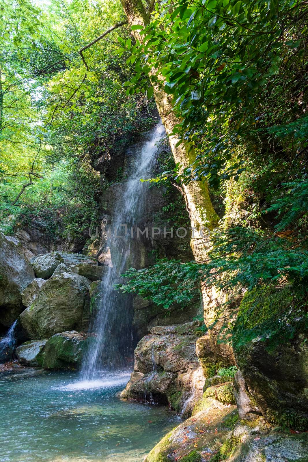 Waterfall in Pelion forest at Greece