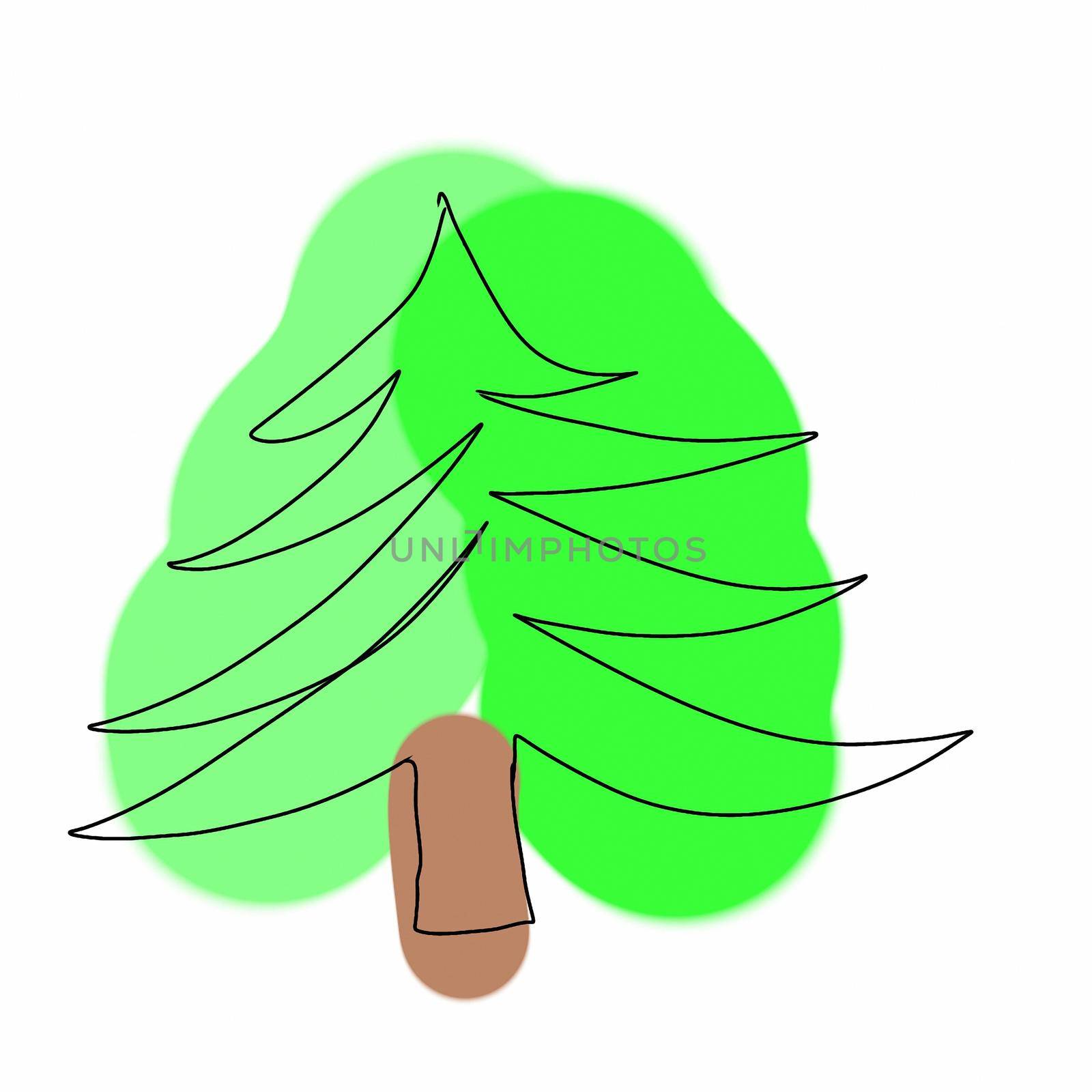 Isolated image of fir. Green pine in cartoon style. Forest tree on white background