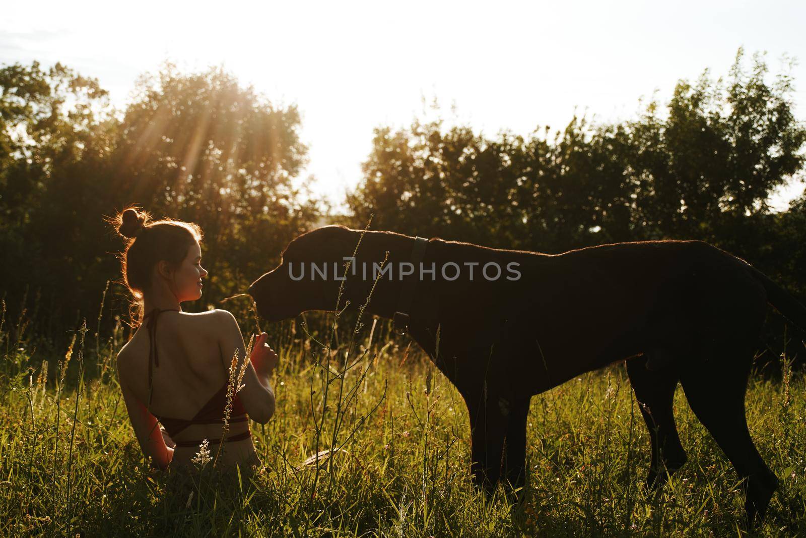 cheerful woman playing with a dog in a field in nature in summer by Vichizh