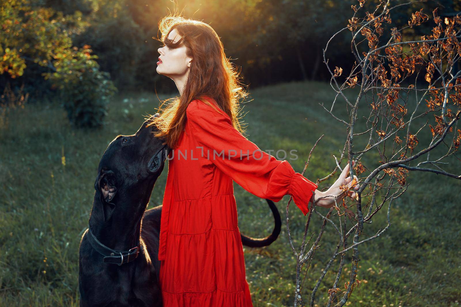 fashion attractive woman in black purebred dog outdoors. High quality photo