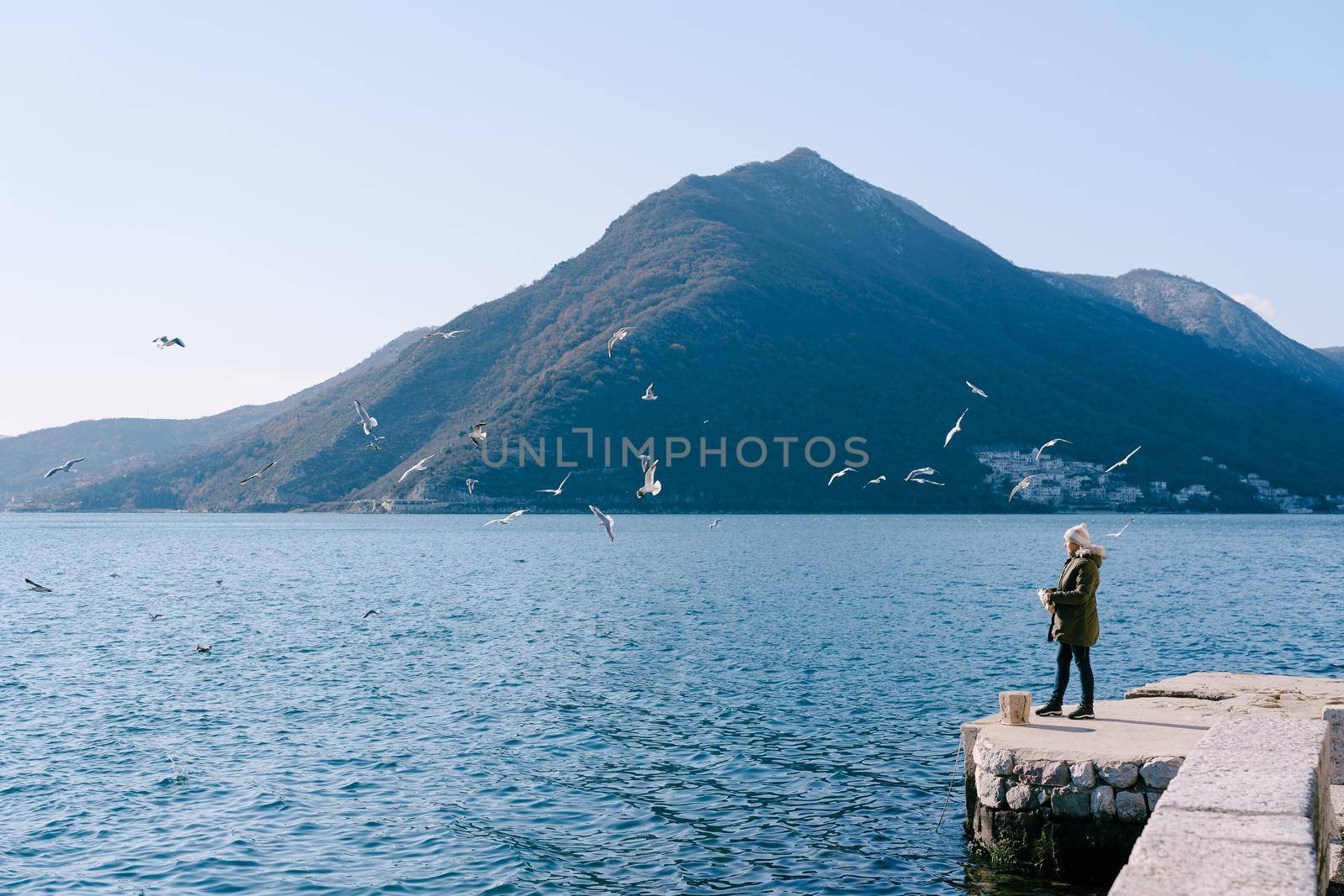 Girl in a jacket stands on the pier and feeds the seagulls against the backdrop of the mountains. High quality photo