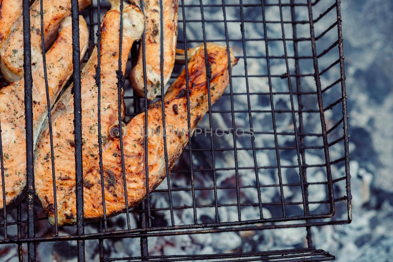 grilled fish bbq charcoal cooking nature summer by Vichizh