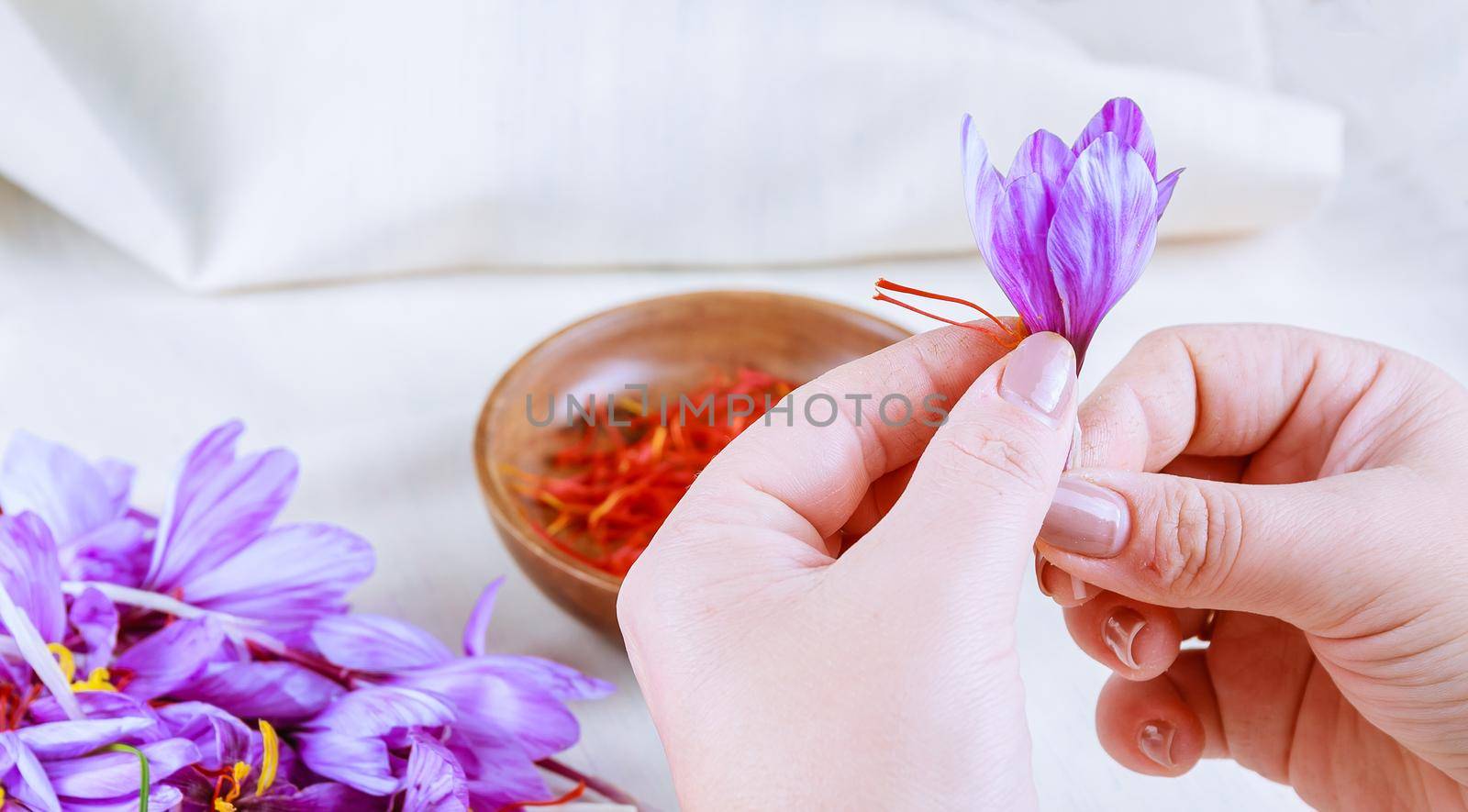 The process of separating the saffron strands from the rest of the flower. Preparing saffron threads for drying before using in cooking, cosmetology or medicine.