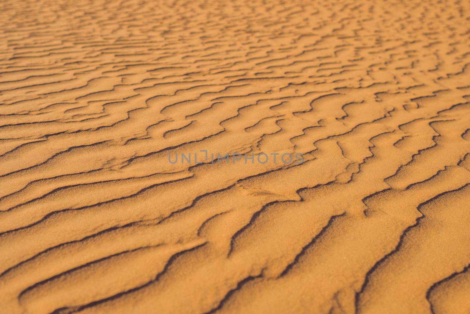 Sand with waves in the red desert.