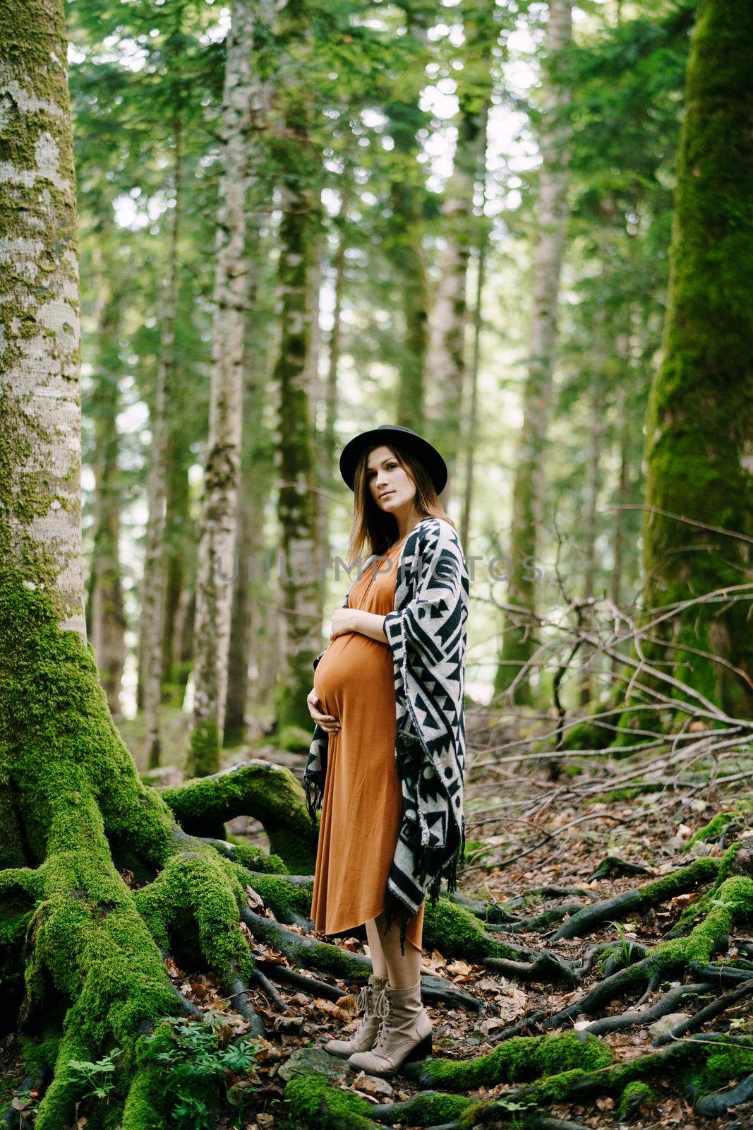 Pregnant woman stands near a moss-covered tree in a birch grove. High quality photo