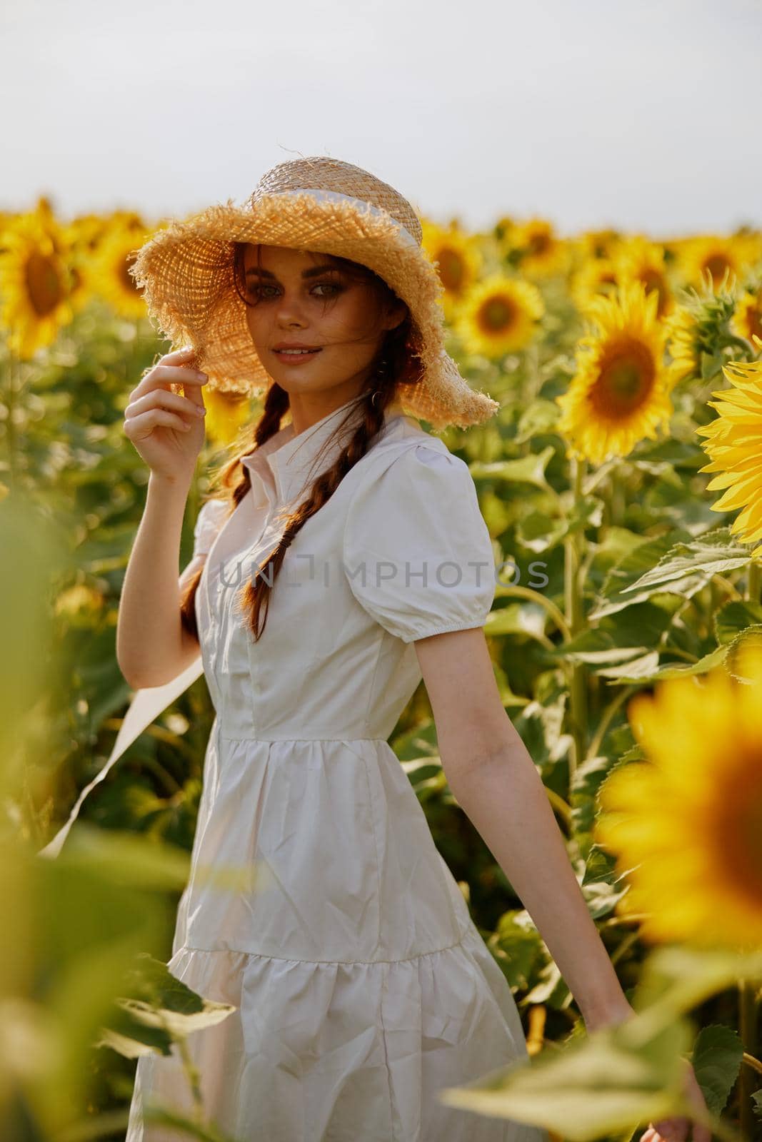 woman with pigtails looking in the sunflower field Summer time. High quality photo