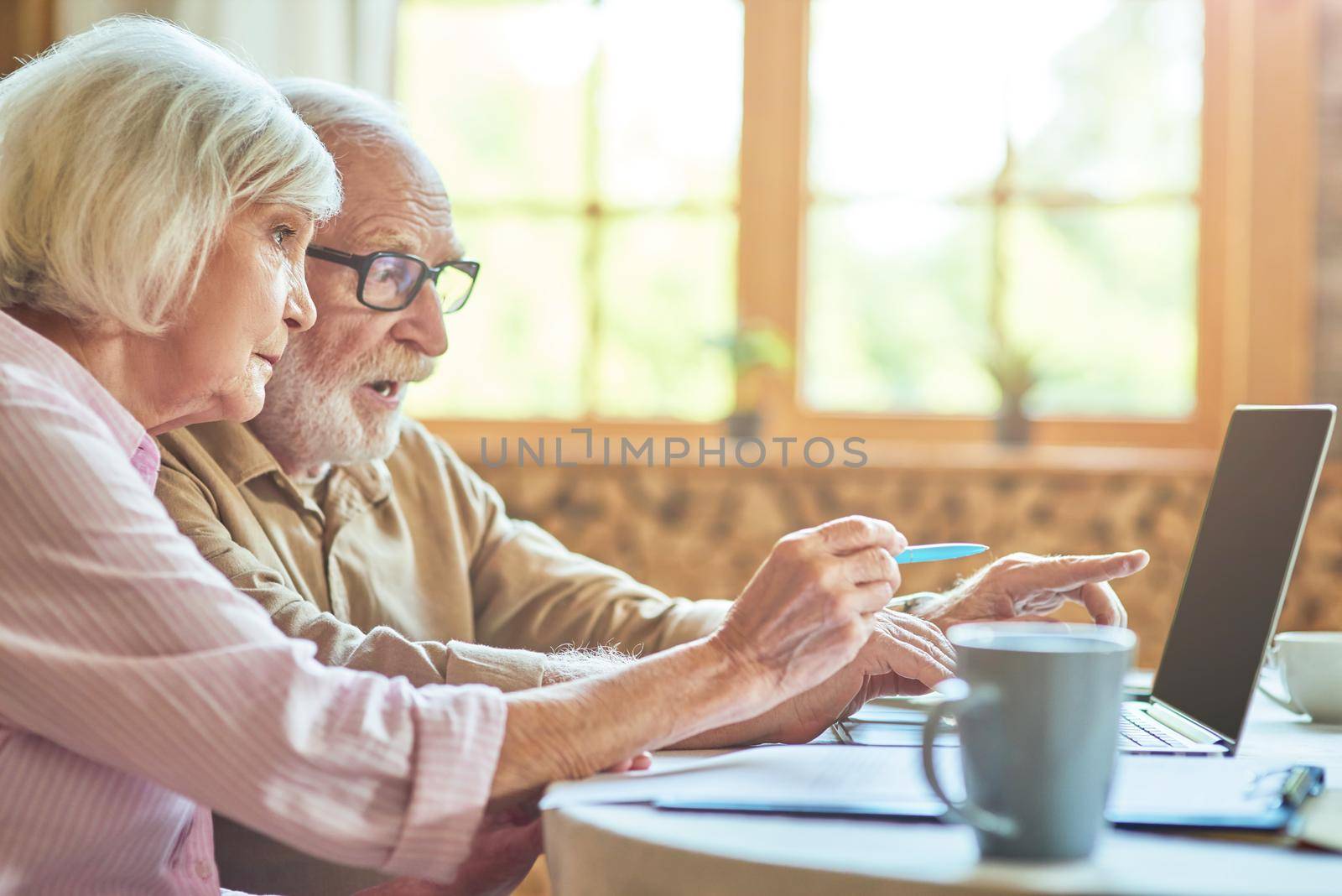 Side view of senior surprised couple pointing their fingers at laptop screen with window on the background. Copy space. Family and household concept