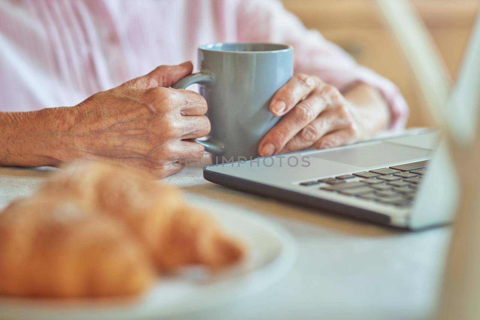 Cropped photo of senior lady holding coffee and using laptop during breakfast in the morning. Domestic lifestyle concept